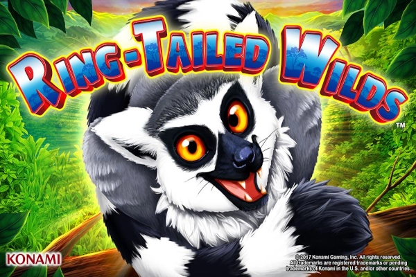 12659 ring tailed wilds